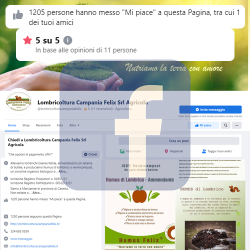 pagina_facebook_lombricoltura_campania_felix