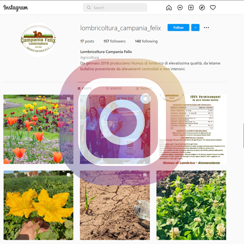 pagina_instagram_lombricoltura_campania_felix